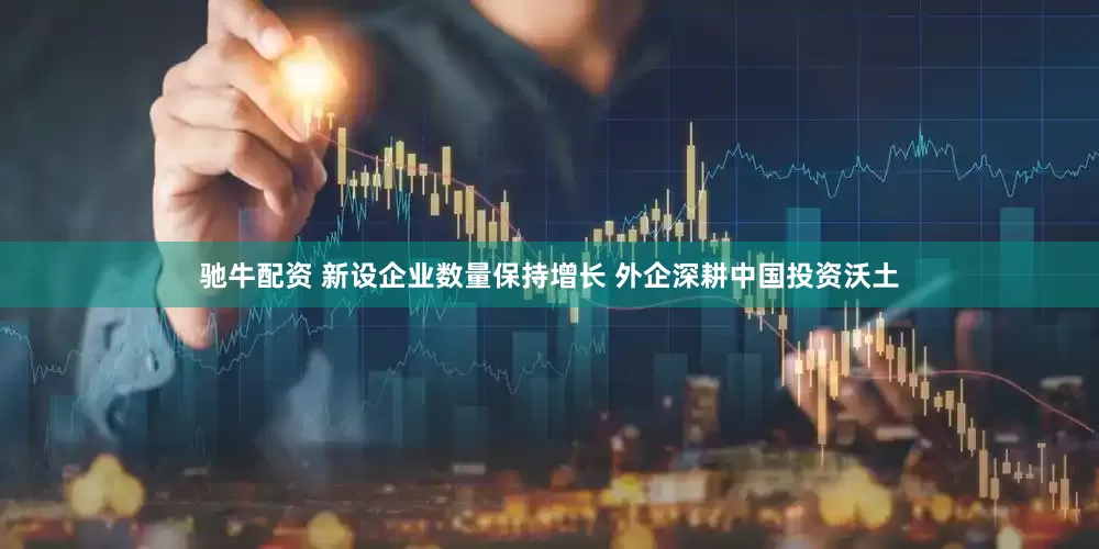 驰牛配资 新设企业数量保持增长 外企深耕中国投资沃土
