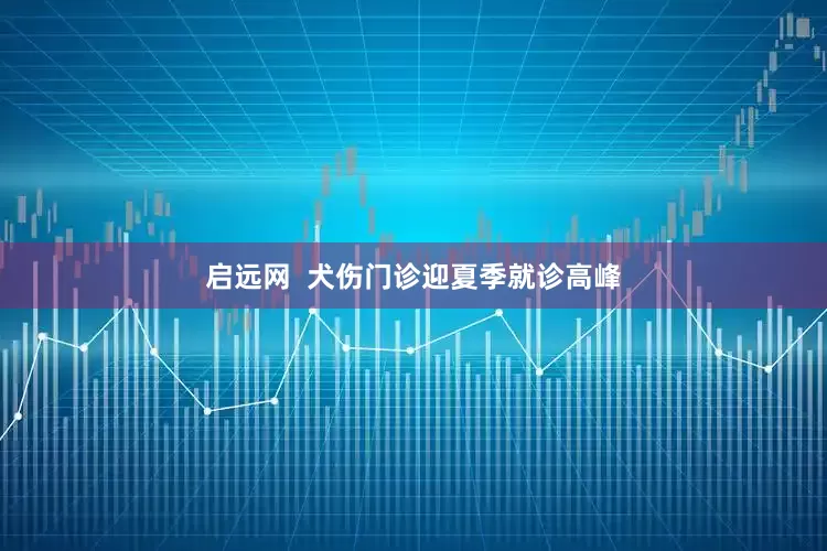 启远网  犬伤门诊迎夏季就诊高峰