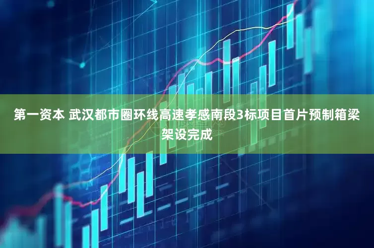 第一资本 武汉都市圈环线高速孝感南段3标项目首片预制箱梁架设完成